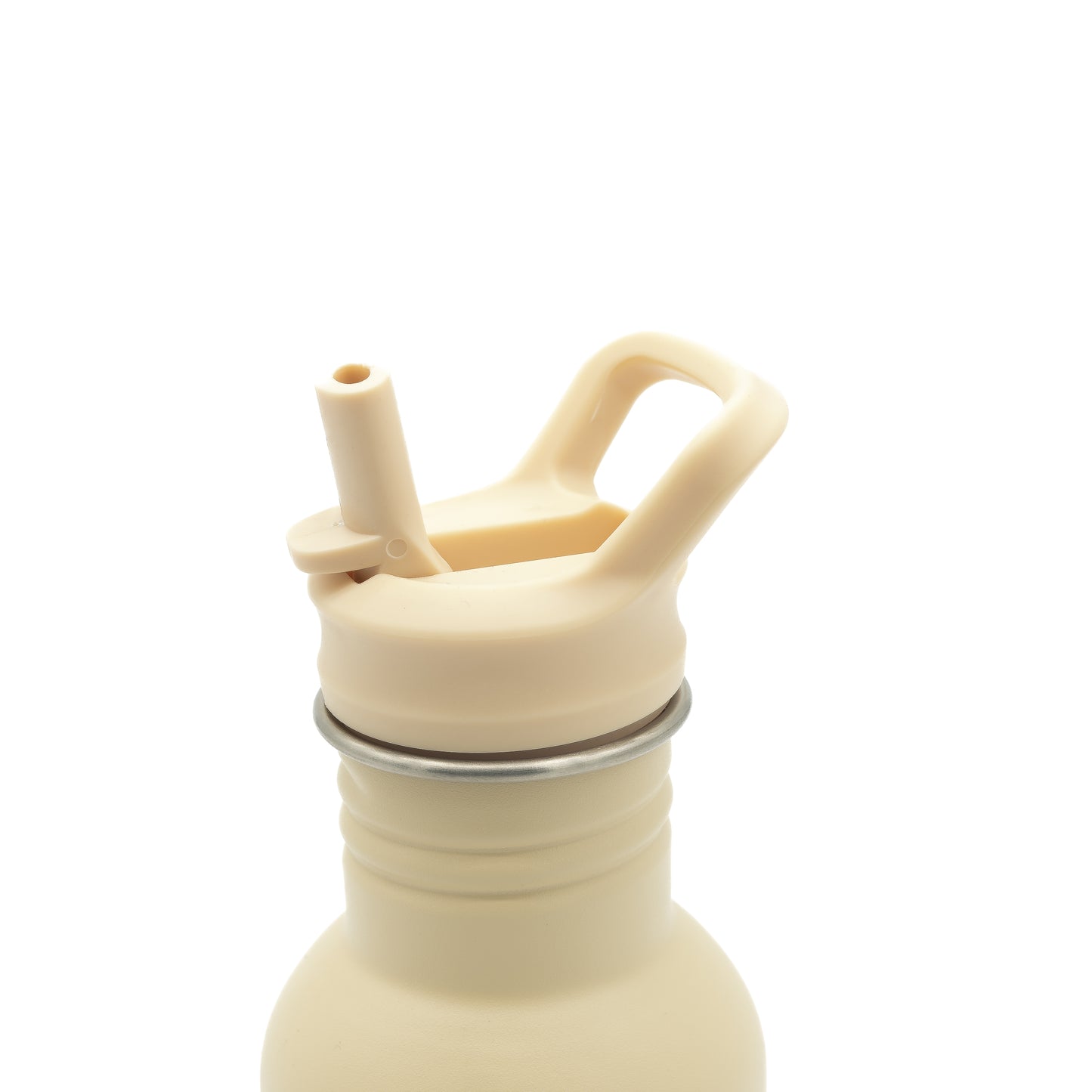 Botella de acero inoxidable - 500 ml - Gnawy El Perezoso
