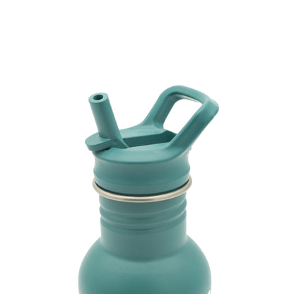 Botella de acero inoxidable - 500 ml - Crunchy El Zorro